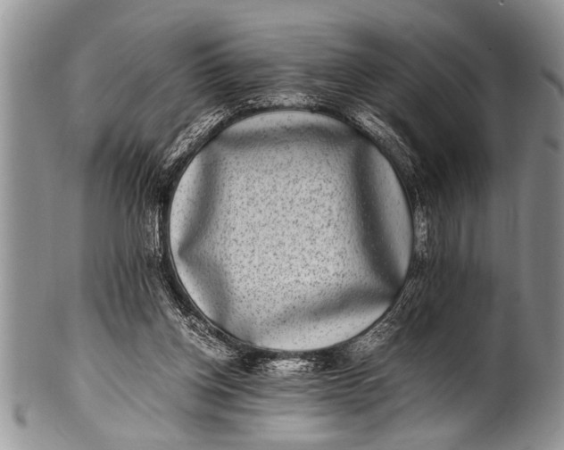 X0000100400158200806201744