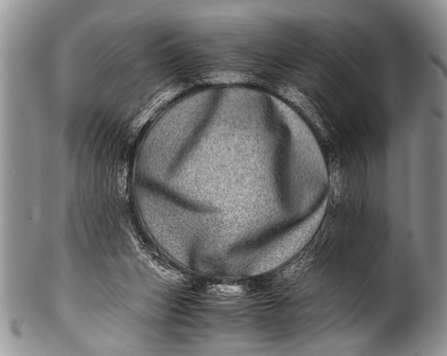 X0000100400159200806201744