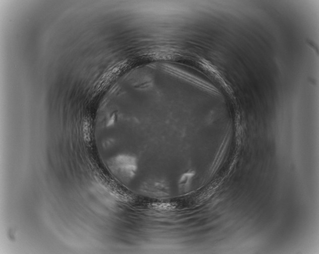X0000100400161200806201744