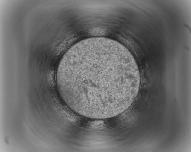 X0000100400162200806201744