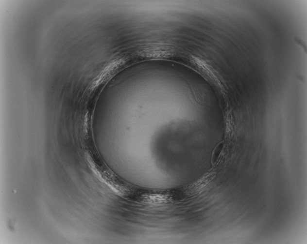X0000100400163200806201744