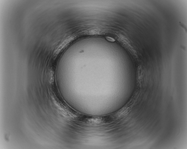 X0000100400164200806201744