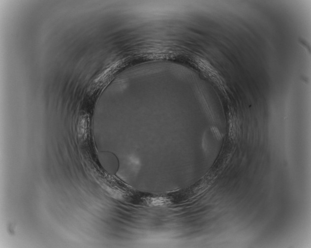 X0000100400165200806201744