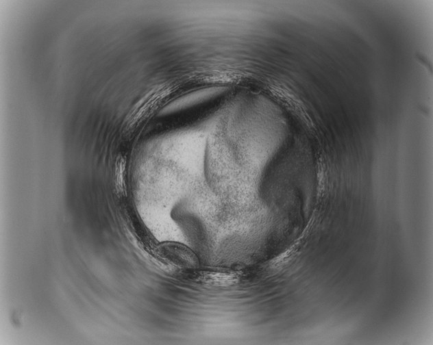 X0000100400166200806201744