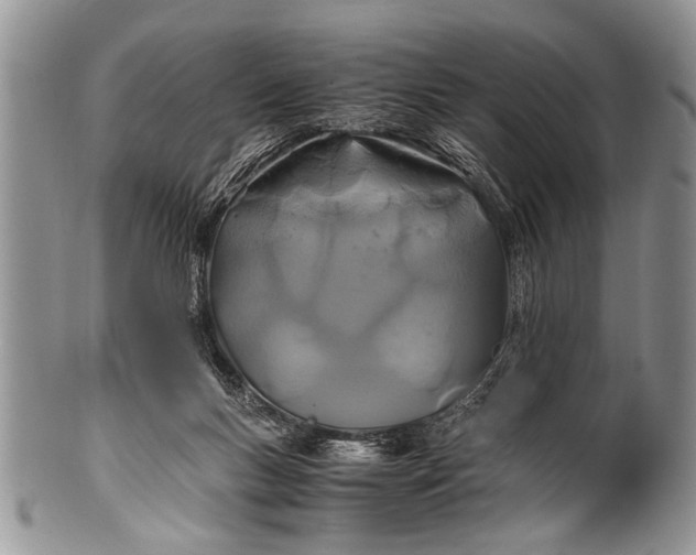 X0000100400167200806201744
