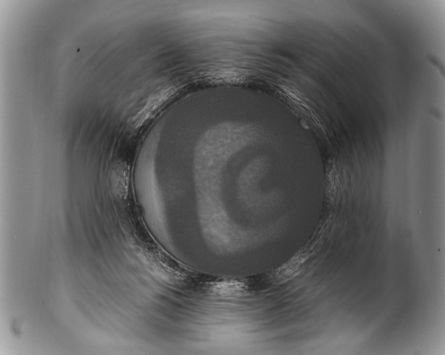 X0000100400168200806201744