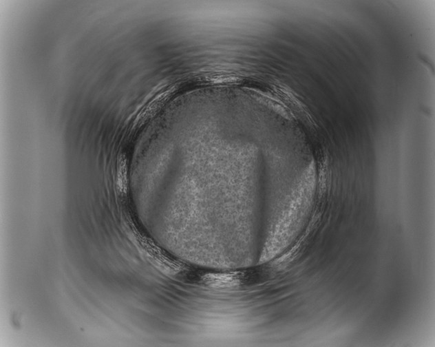 X0000100400170200806201744