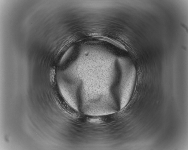 X0000100400171200806201744