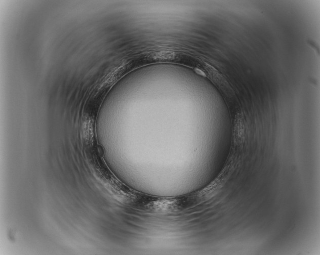 X0000100400172200806201744