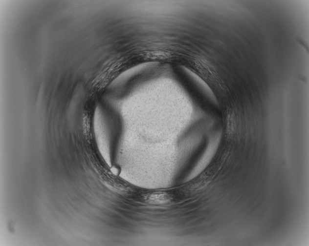 X0000100400173200806201744