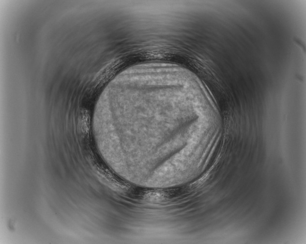 X0000100400174200806201744