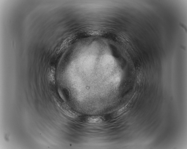 X0000100400175200806201744