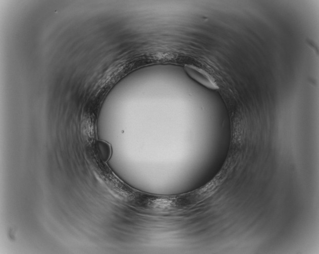 X0000100400176200806201744