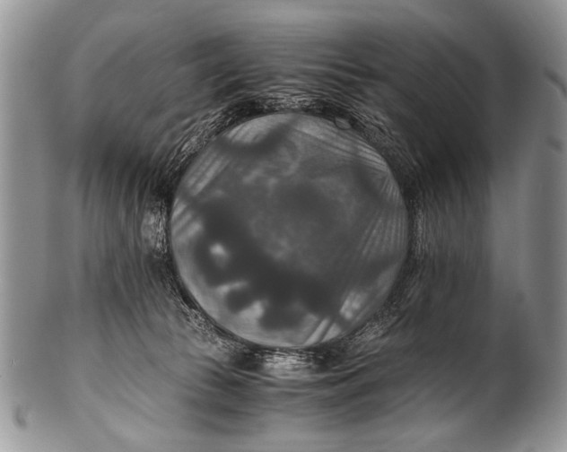 X0000100400177200806201744