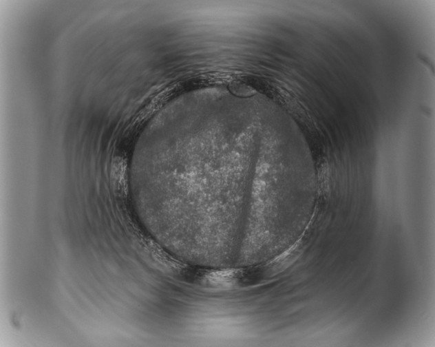 X0000100400178200806201744