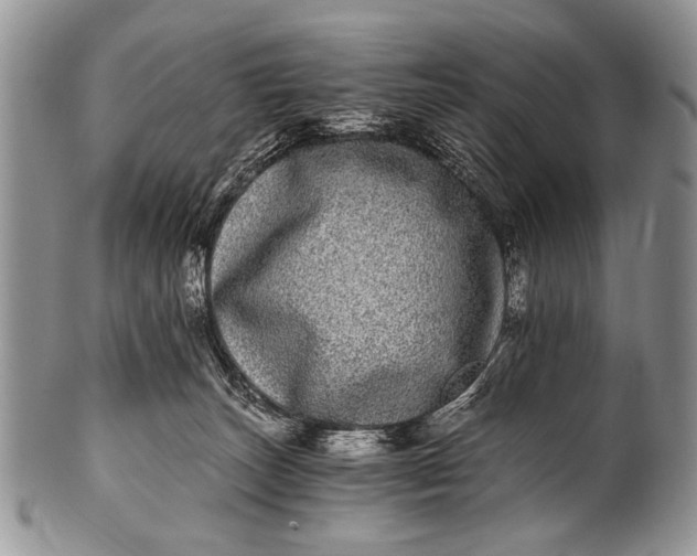 X0000100400179200806201744