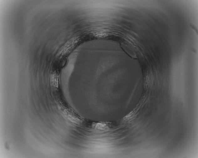 X0000100400180200806201744
