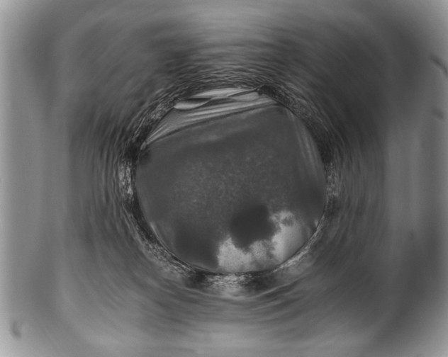 X0000100400182200806201744