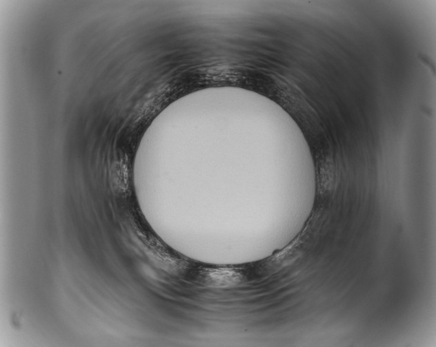 X0000100400183200806201744