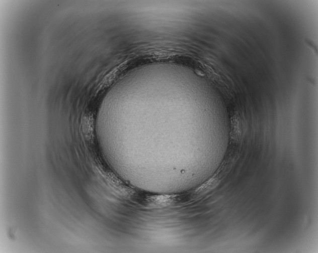 X0000100400184200806201744