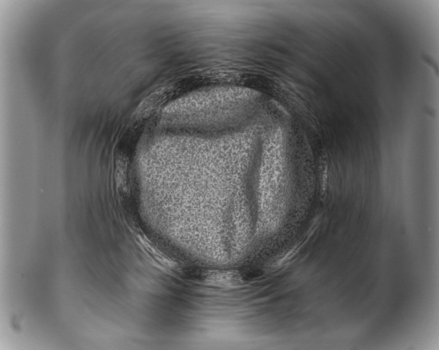 X0000100400185200806201744