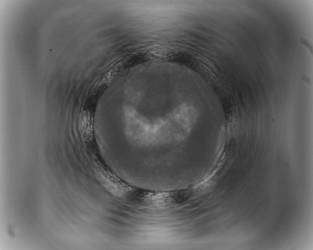 X0000100400186200806201744