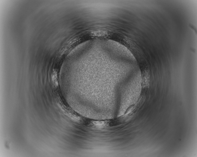X0000100400187200806201744