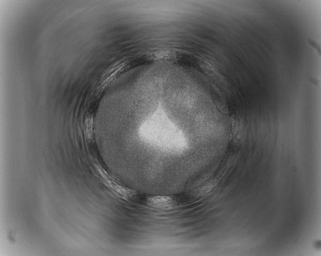 X0000100400189200806201744