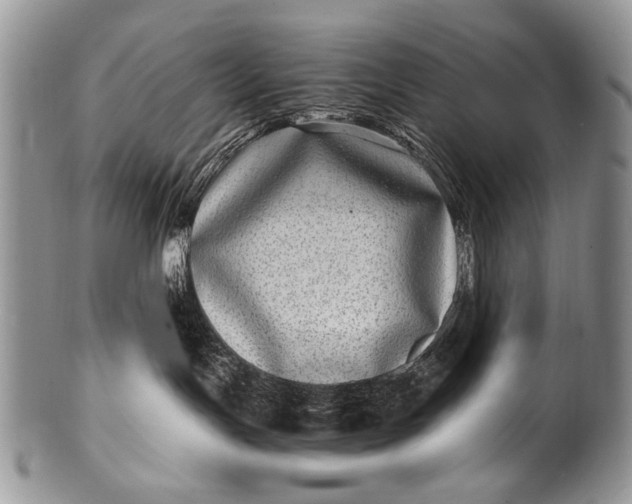 X0000100400191200806201744