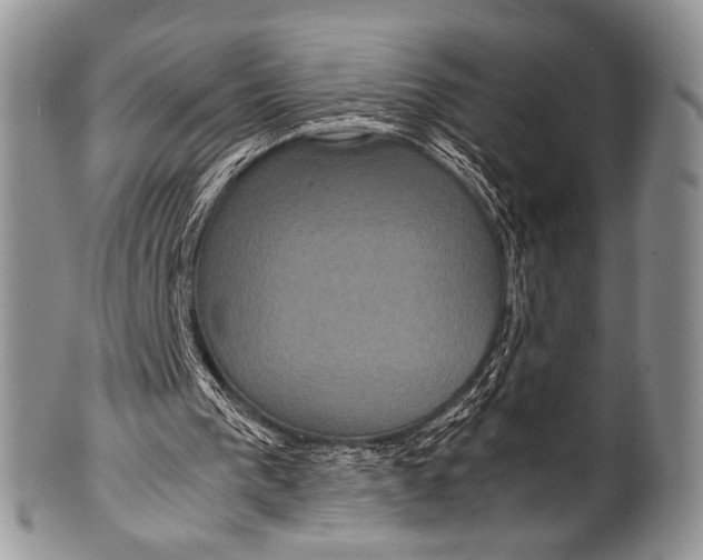 X0000100400193200806201744