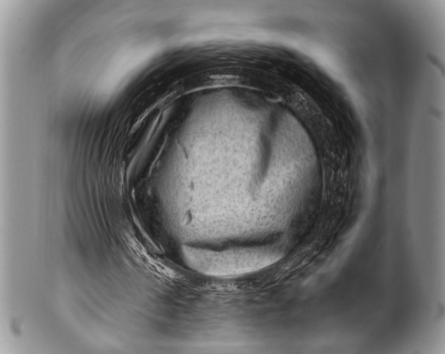 X0000100400194200806201744