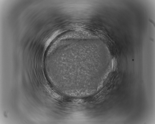 X0000100400195200806201744