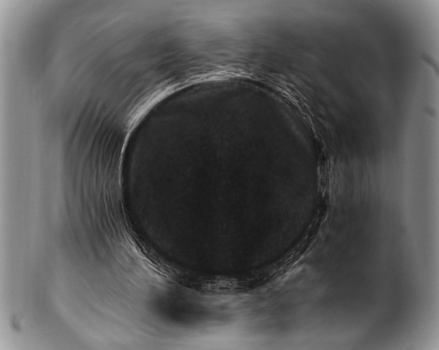 X0000100400196200806201744