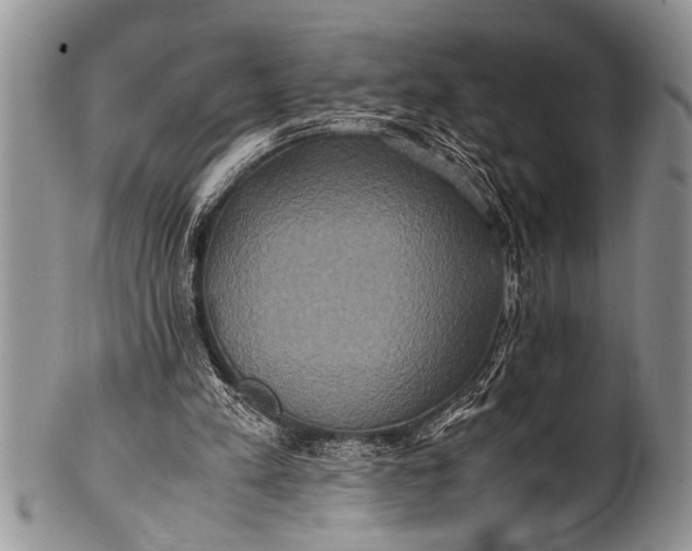 X0000100400197200806201744