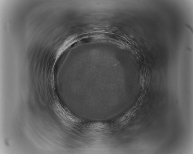 X0000100400198200806201744