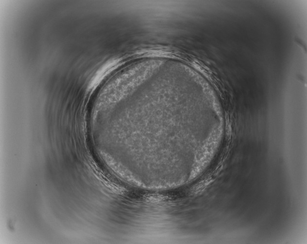 X0000100400199200806201744
