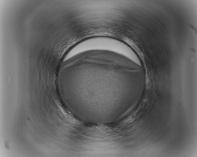 X0000100400201200806201744