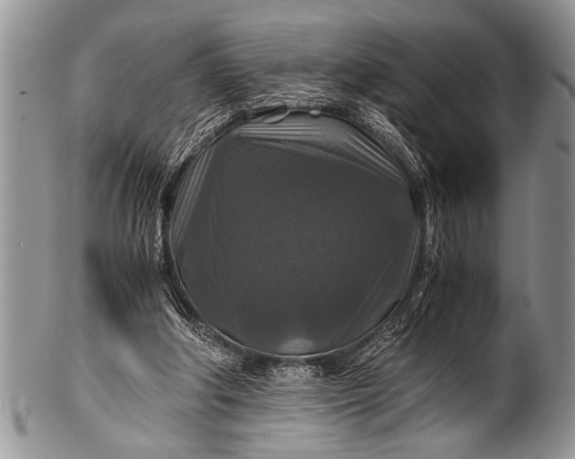 X0000100400202200806201743