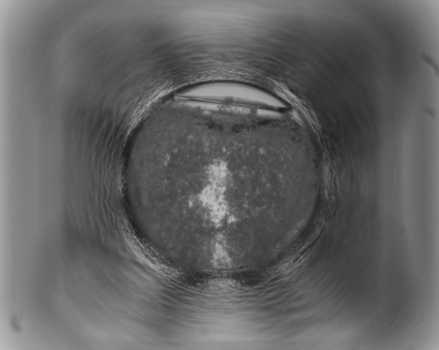 X0000100400203200806201743