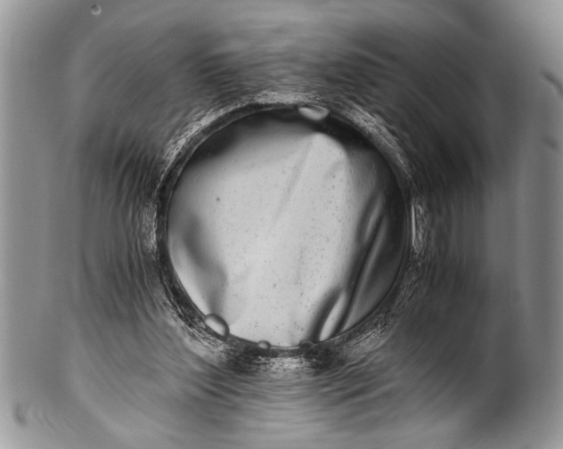 X0000100400204200806201743