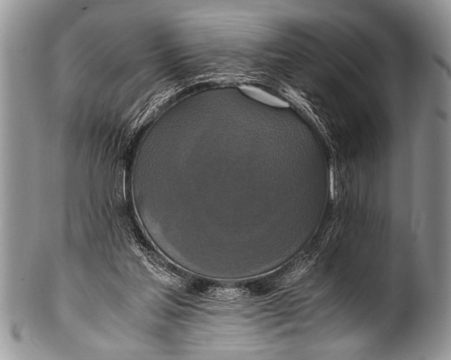 X0000100400205200806201743