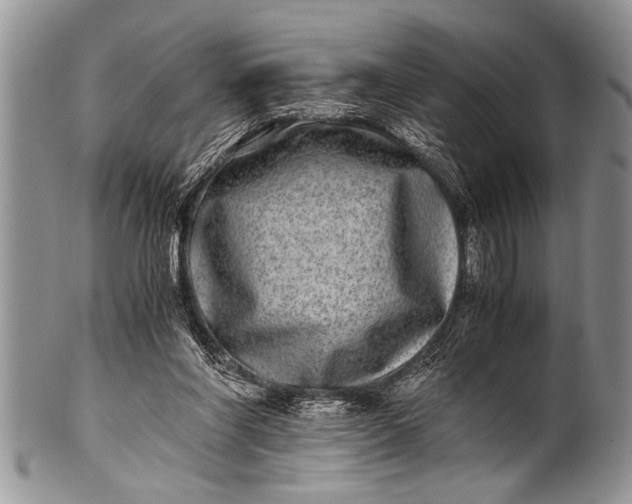 X0000100400206200806201743