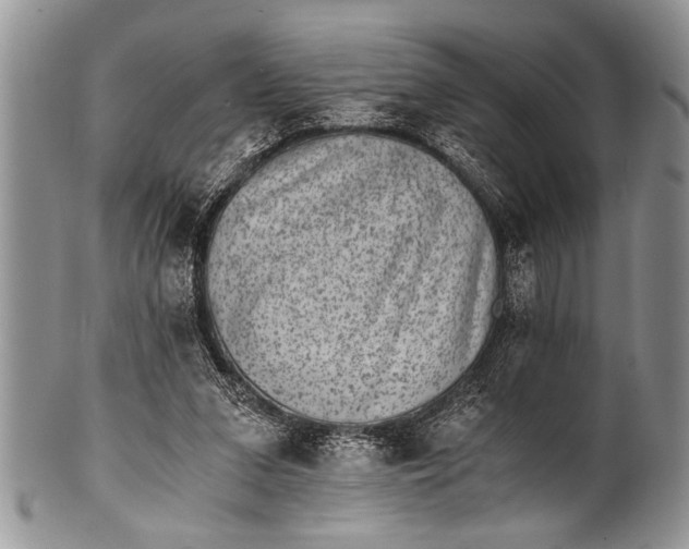 X0000100400207200806201743