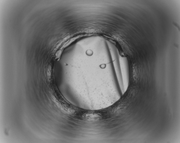 X0000100400208200806201743