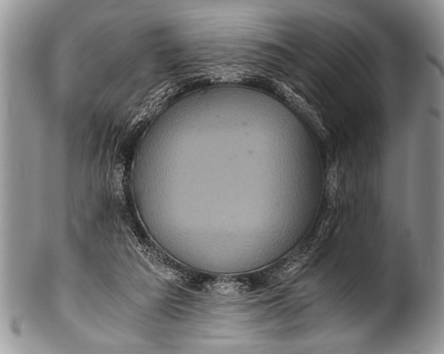 X0000100400209200806201743
