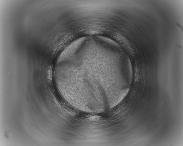 X0000100400210200806201743