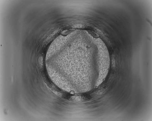 X0000100400211200806201743