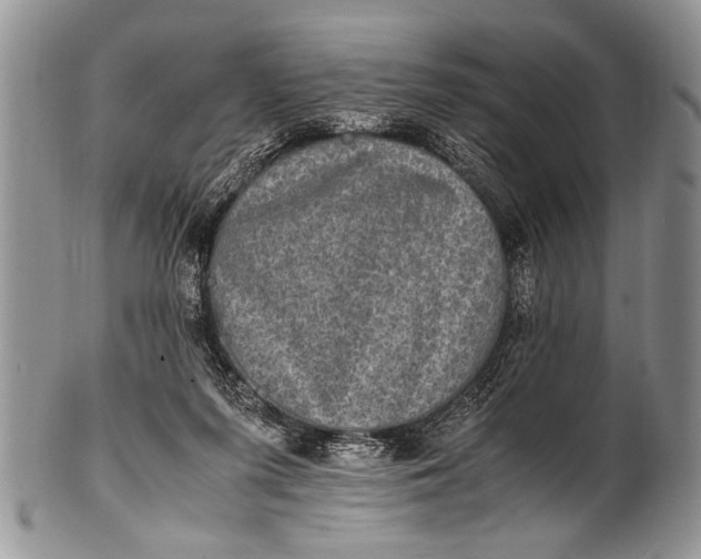 X0000100400215200806201743