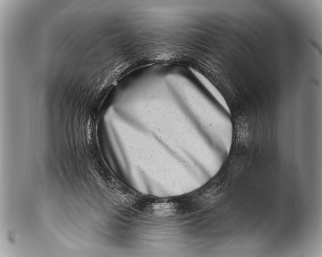 X0000100400216200806201743