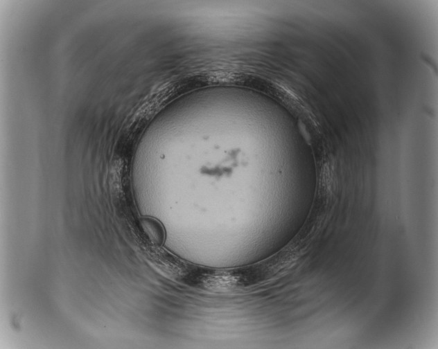 X0000100400217200806201743
